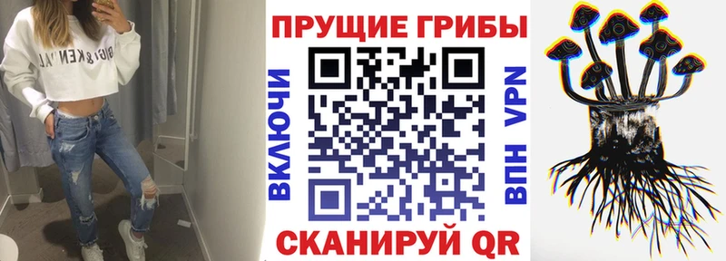 Галлюциногенные грибы Cubensis  купить наркотик  Стерлитамак 